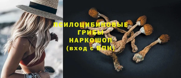 тгк Богородск