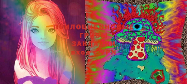Альфа ПВП Белокуриха