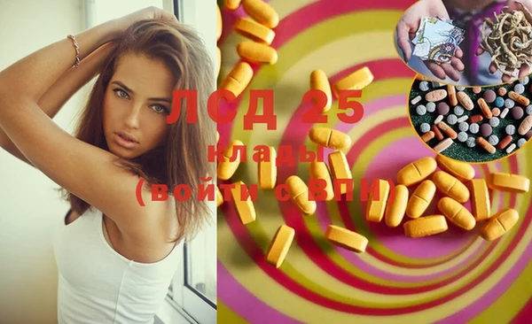 spice Богданович