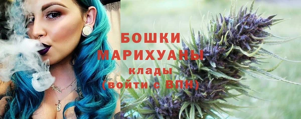 spice Богданович