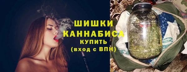 спиды Богородицк